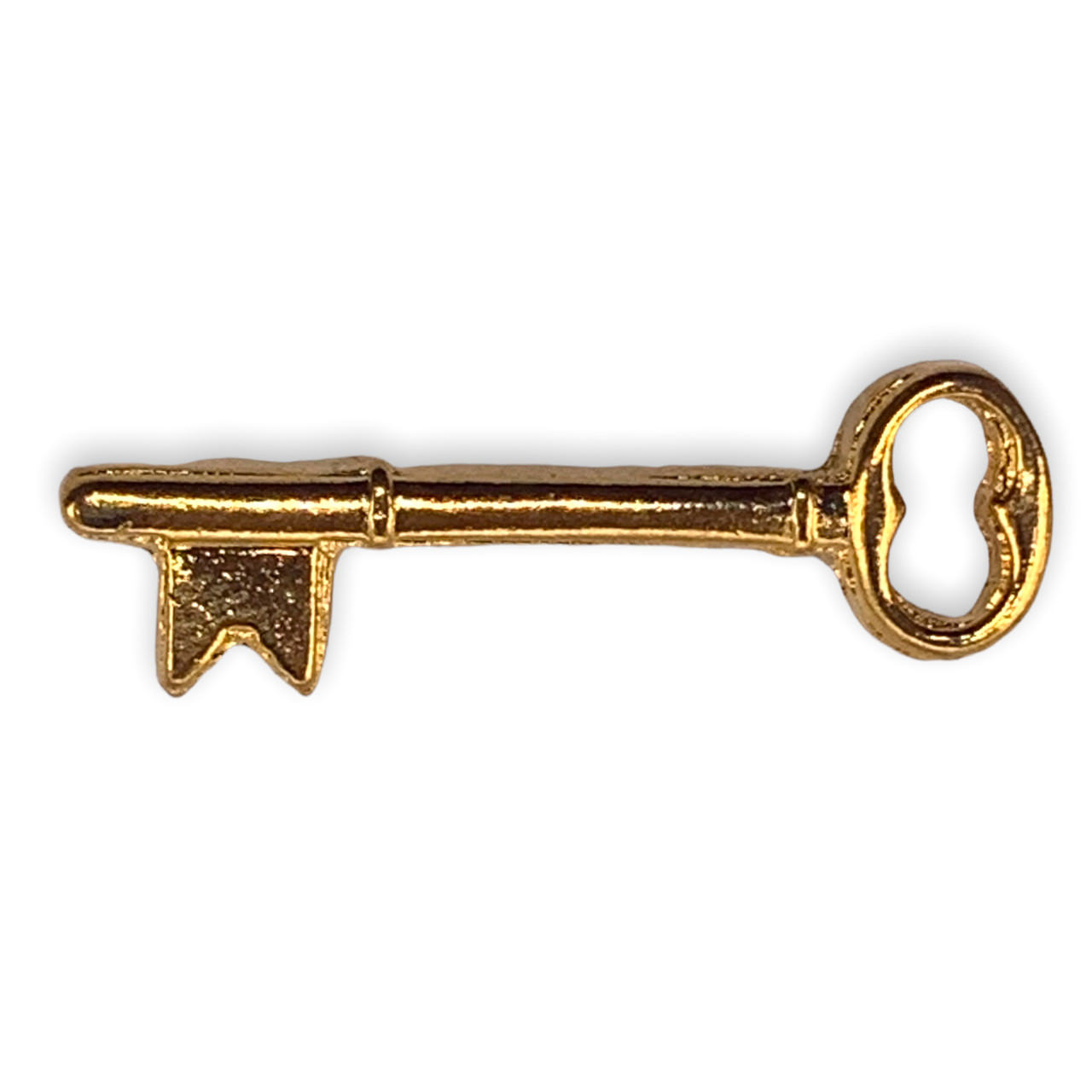 https://www.ceremonialsupplies.com/images/thumbs/0002178_ceremonial-key-to-the-city-lapel-pin.jpeg