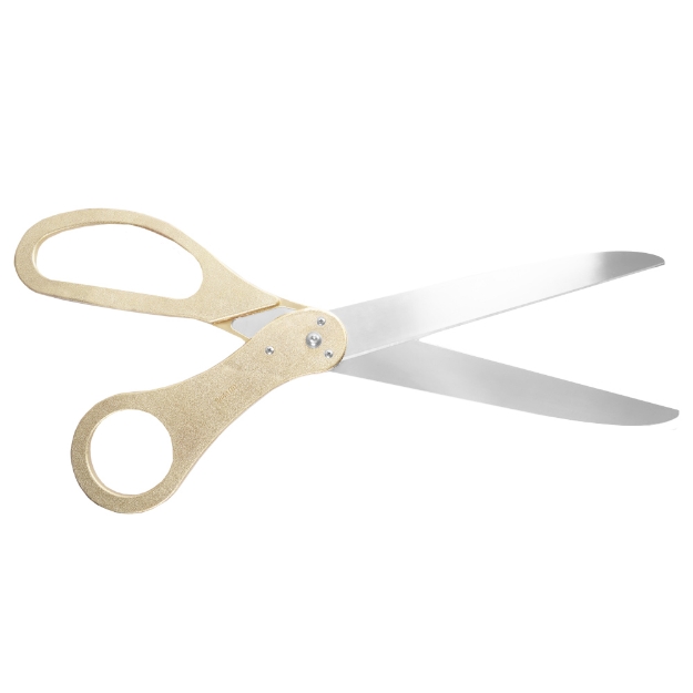 Gold Color Silver Blades Scissors