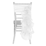 Image of the White Elegant Curly Willow Chair Sash