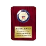 Picture of US Navy Medallion Award Plaque