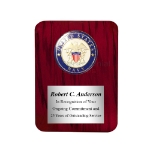 Picture of US Navy Medallion Award Plaque