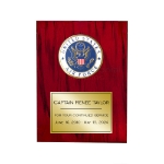 US Air Force Medallion Award Plaque