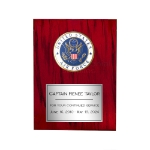 US Air Force Medallion Award Plaque